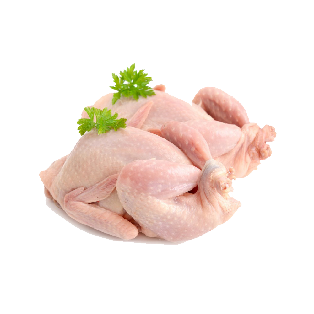 Thanksgiving Turkey Meat PNG Photos