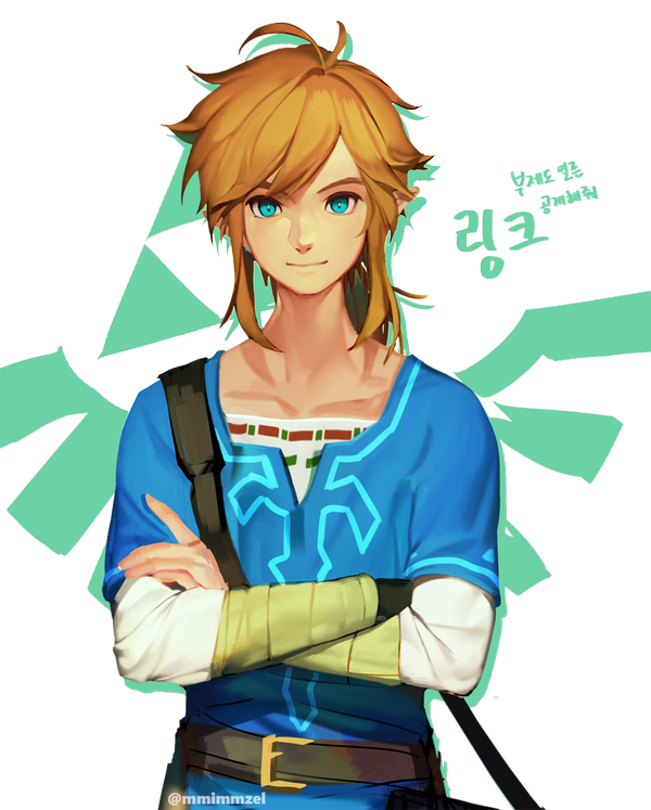 The Legend Of Zelda Breath Of The Wild PNG Isolated HD