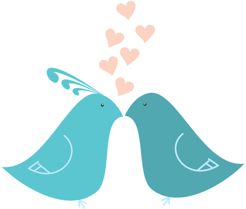 The Lovebirds PNG Isolated Photo