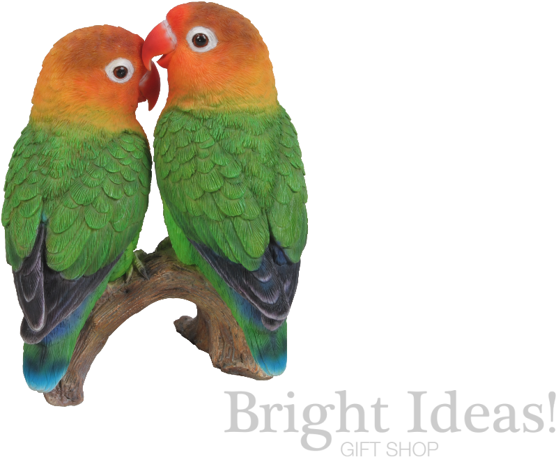 The Lovebirds PNG Isolated Pic