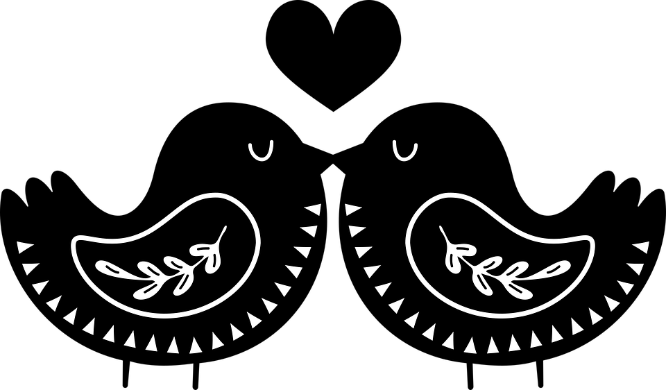 The Lovebirds PNG Picture