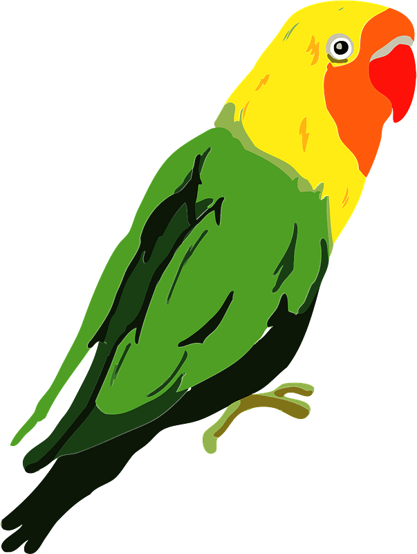 The Lovebirds PNG Transparent