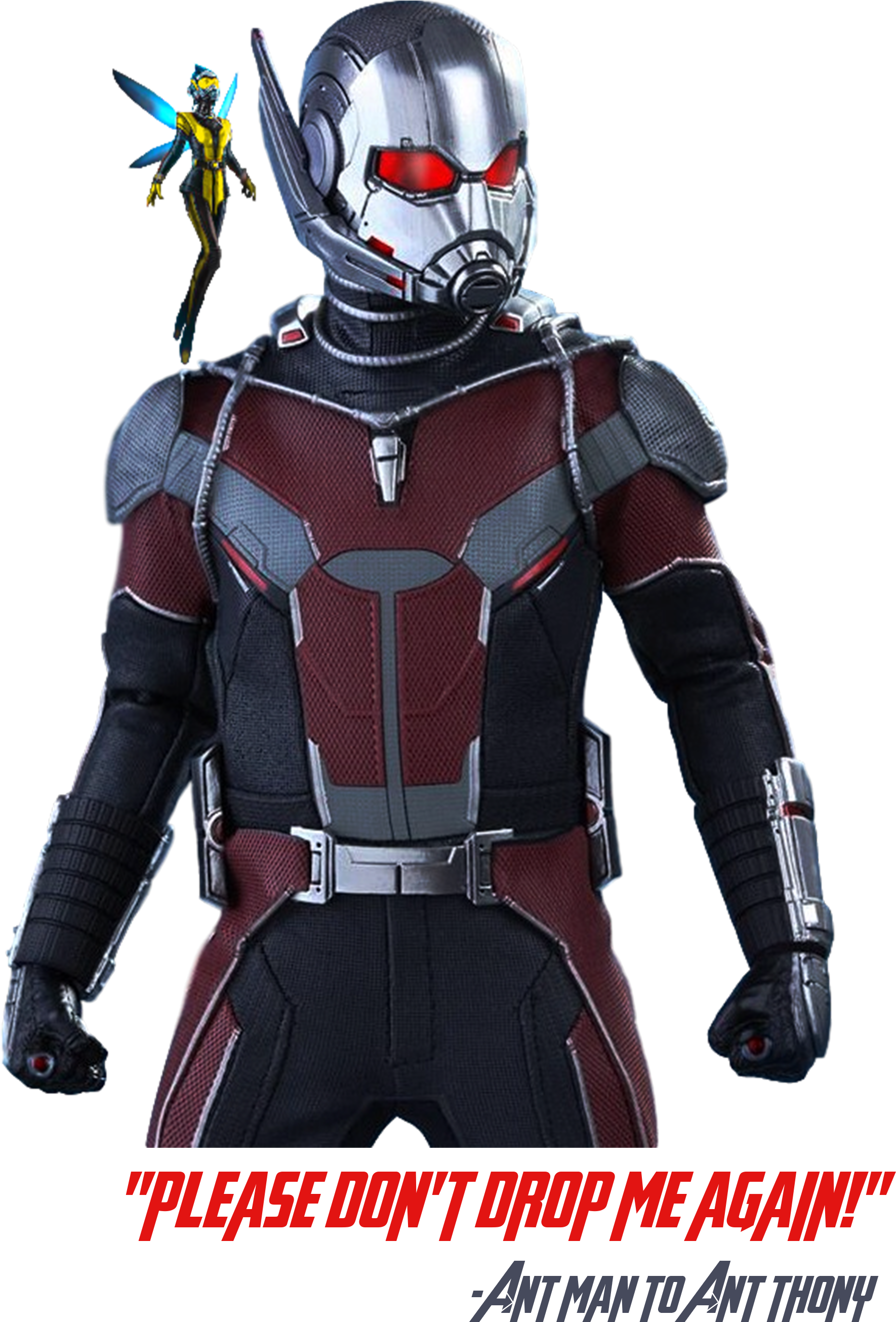 The Wasp PNG HD Isolated