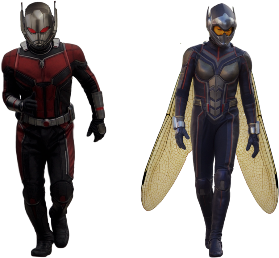 The Wasp PNG Isolated Photo