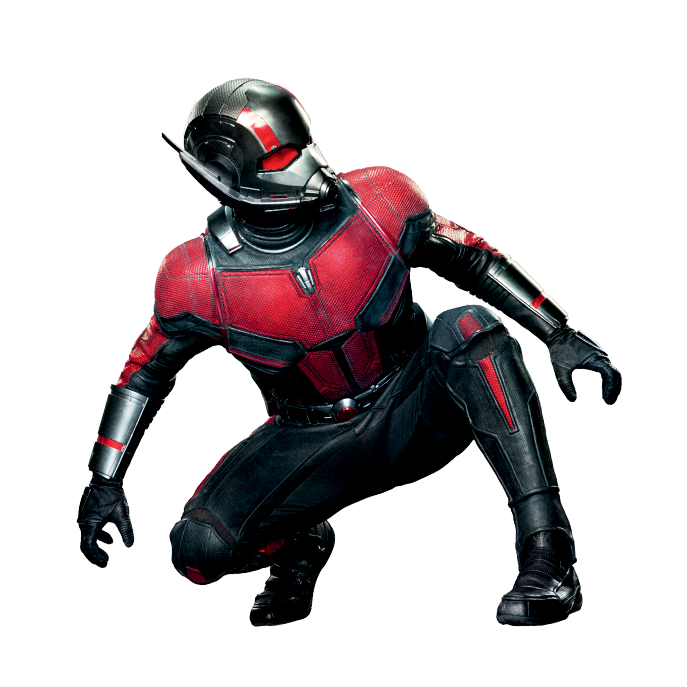 The Wasp PNG Photos