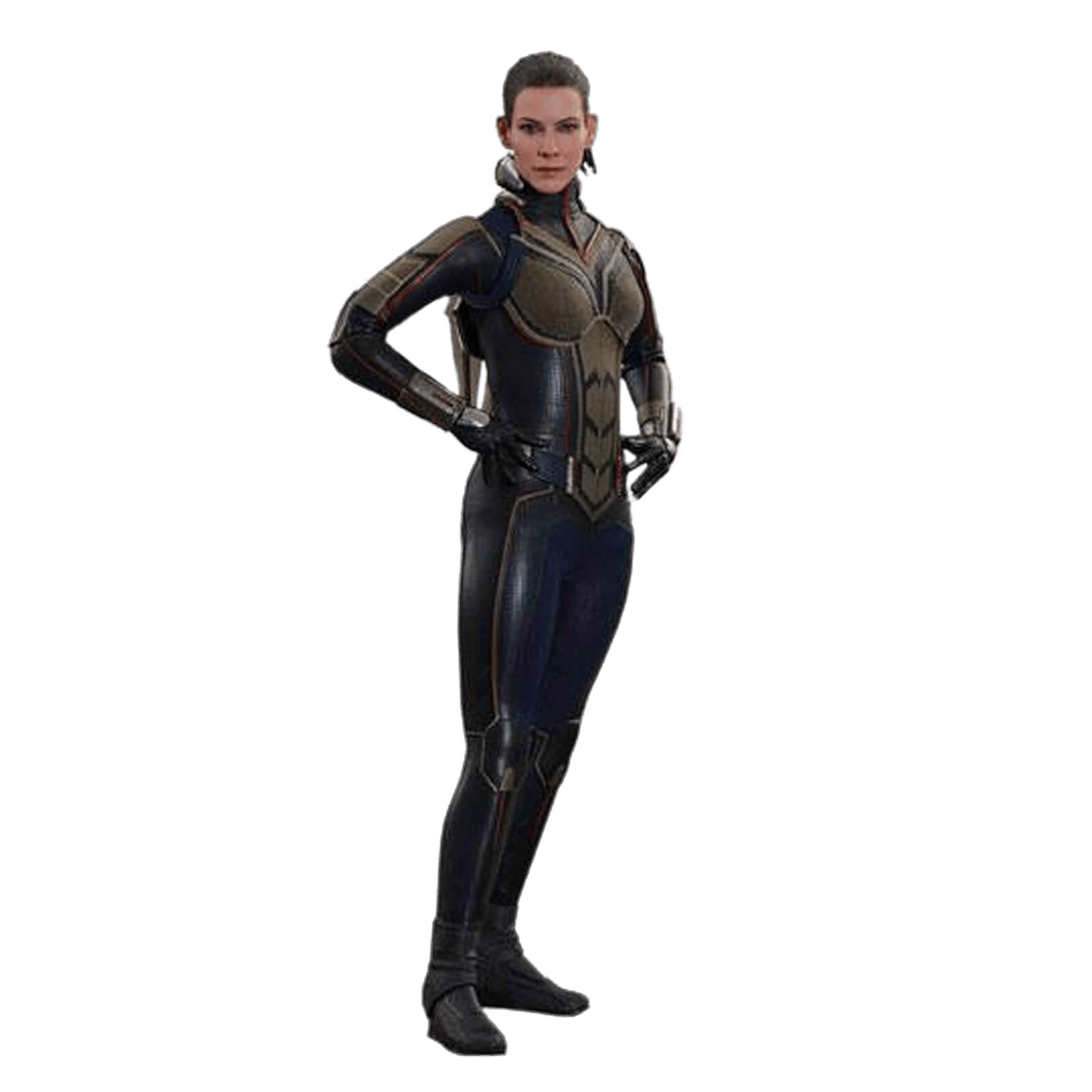 The Wasp PNG Picture