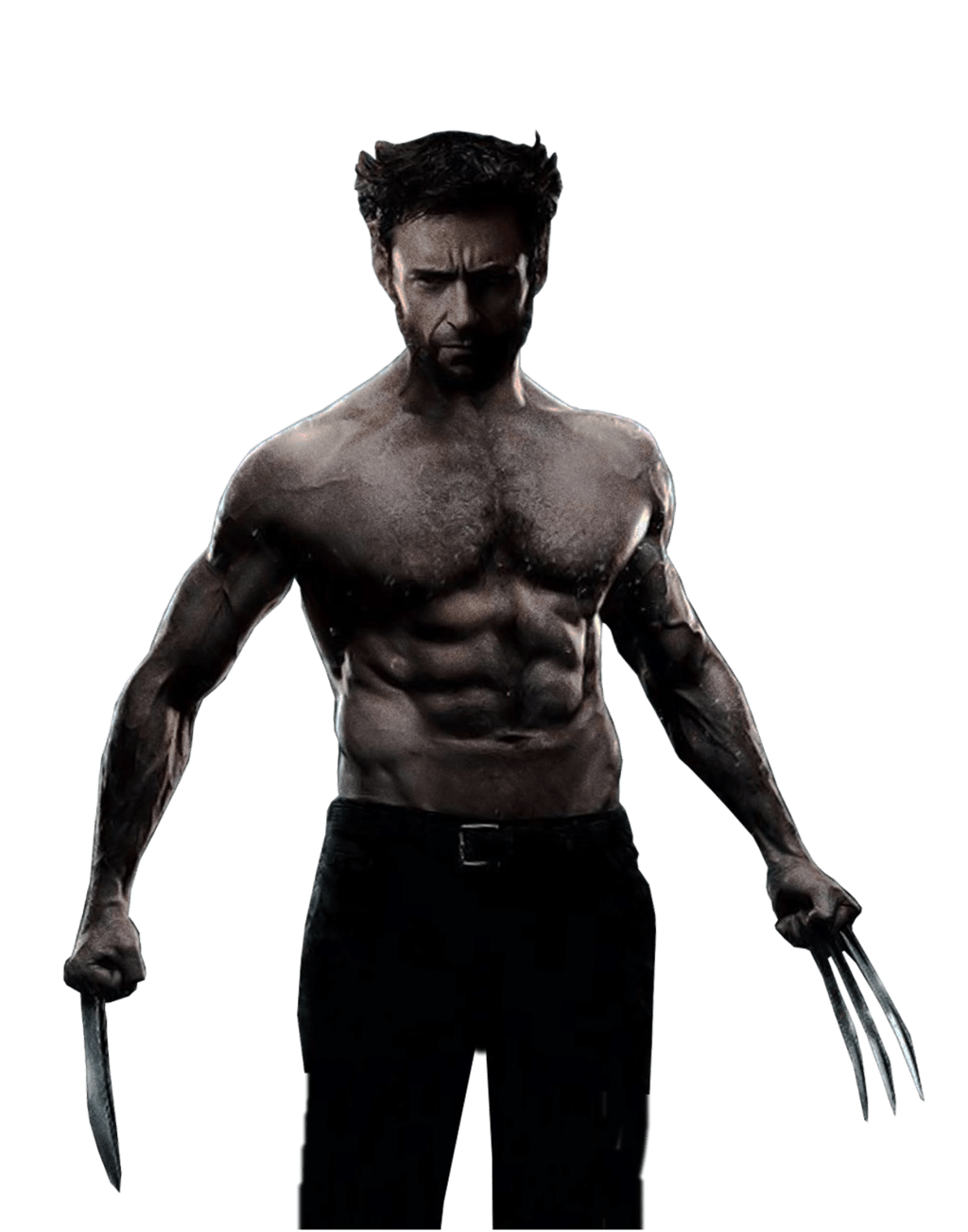 The Wolverine PNG HD Isolated
