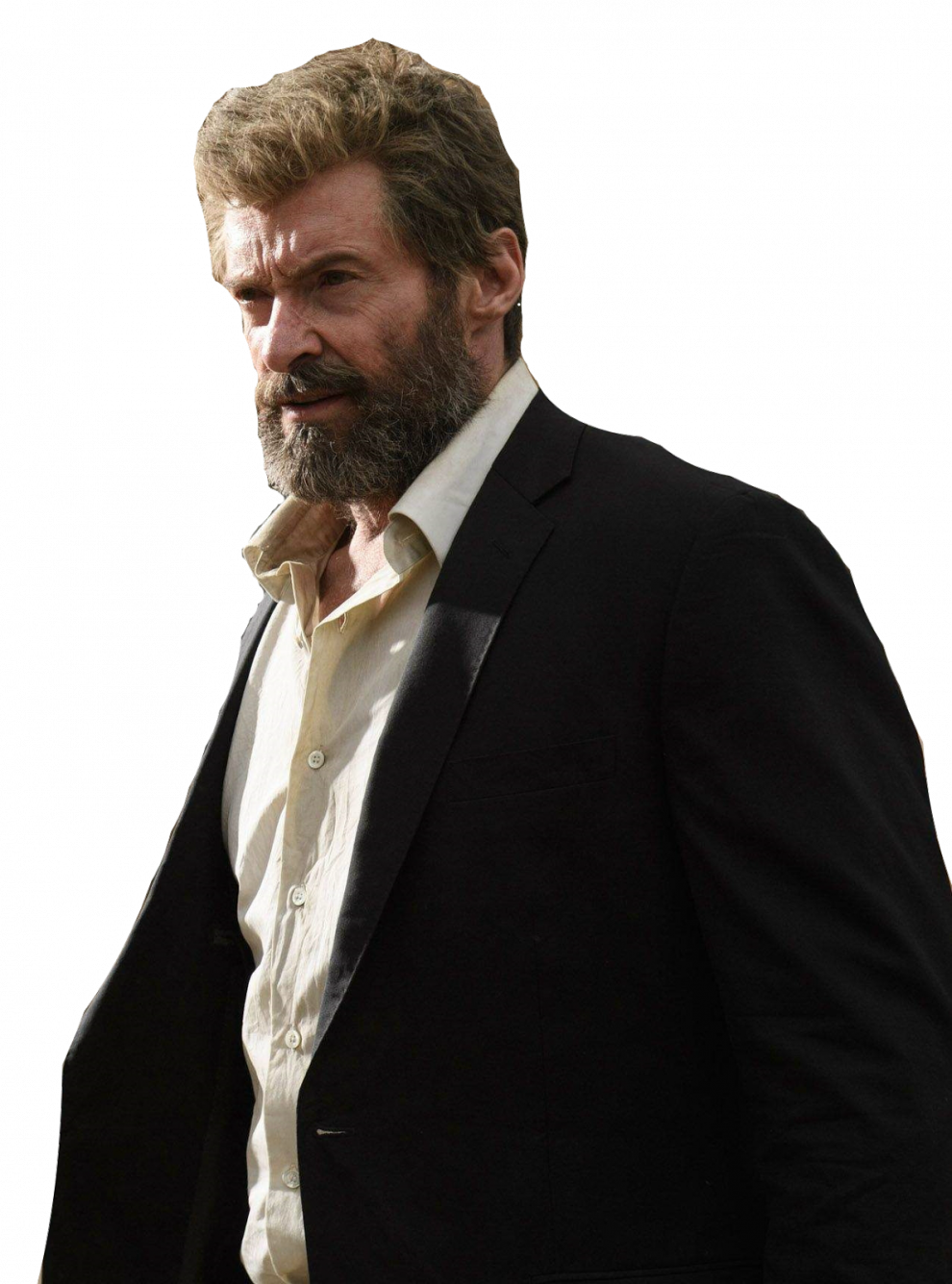 The Wolverine PNG HD
