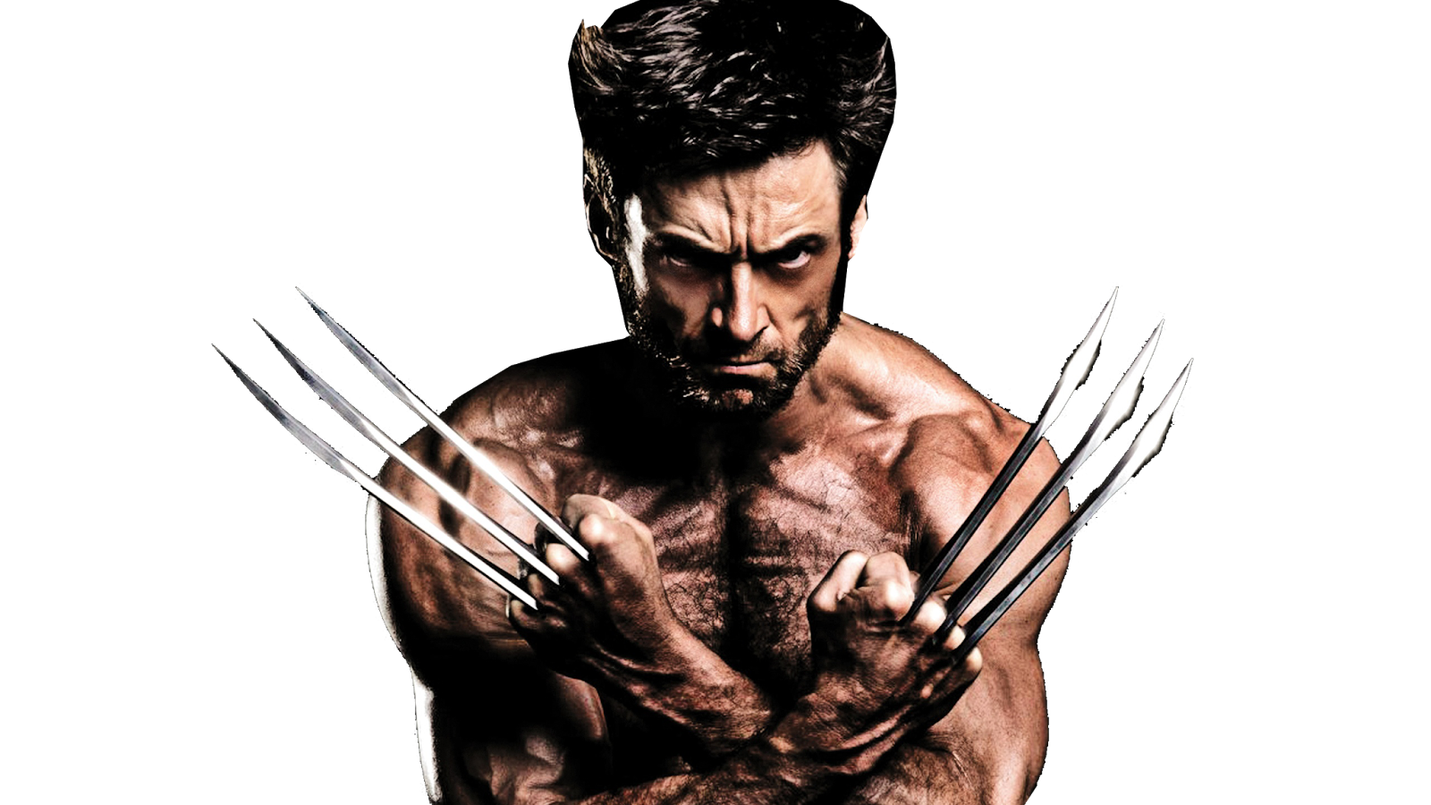 The Wolverine PNG Isolated Pic