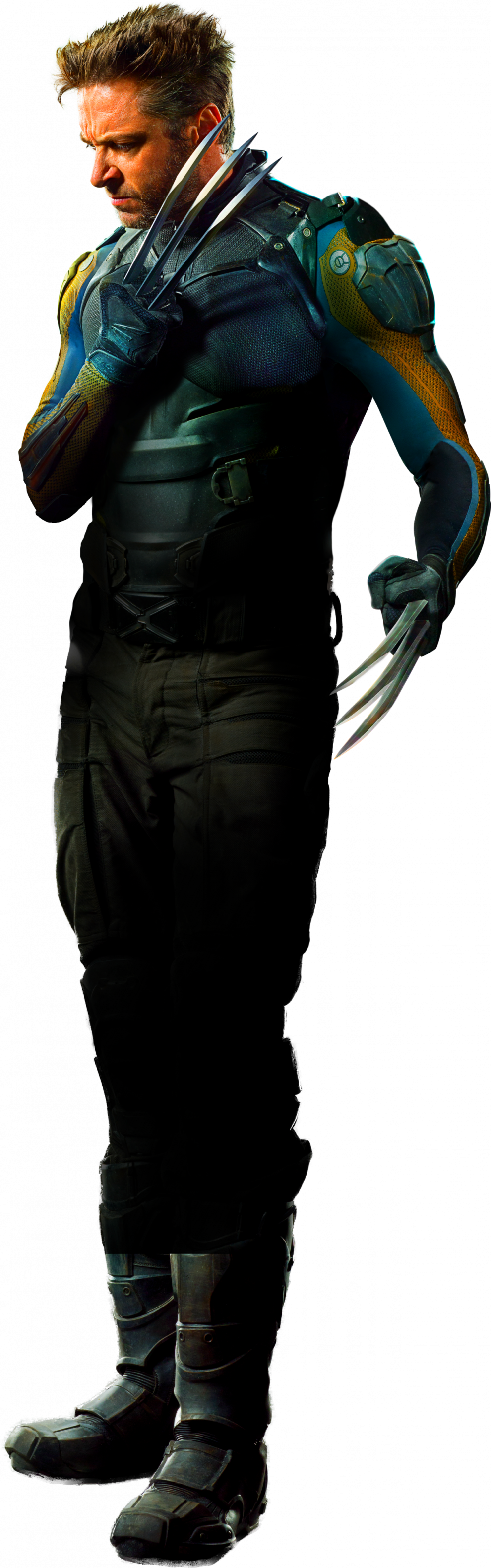 The Wolverine PNG Pic