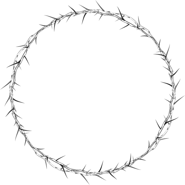 Thorn PNG Isolated HD