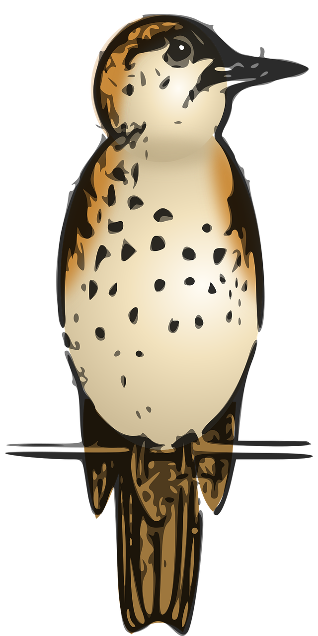Thrushes PNG Clipart