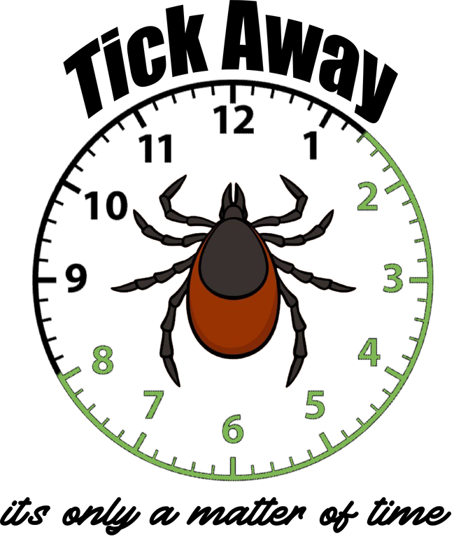 Tick Insect Download PNG Isolated Image