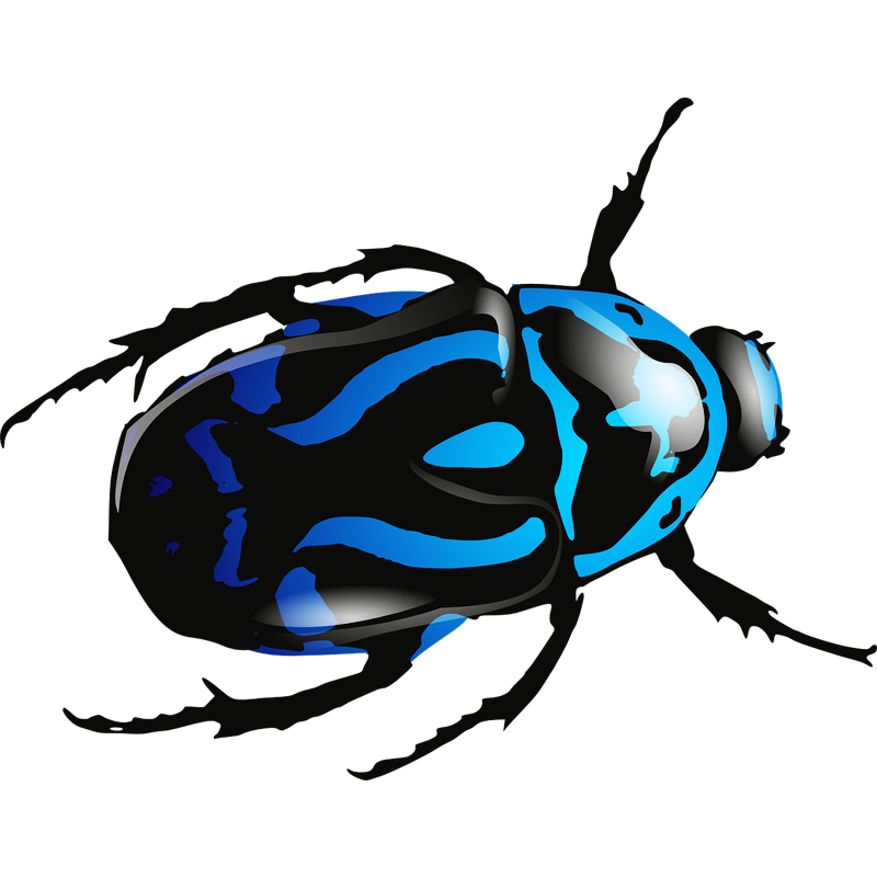 Tick Insect PNG Isolated Clipart