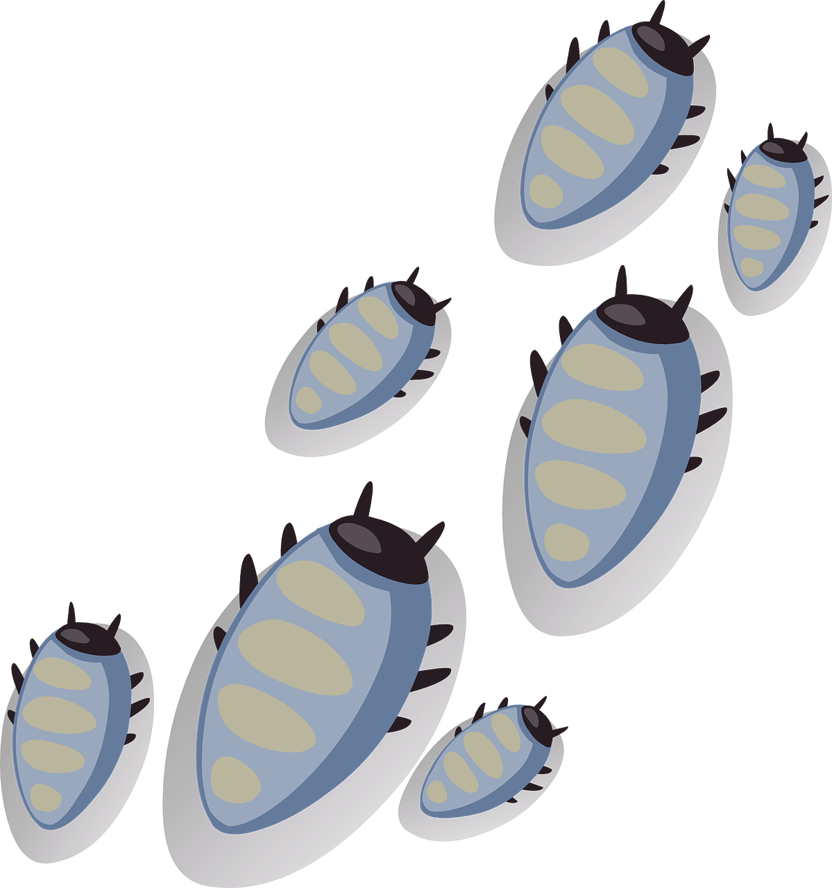 Tick Insect PNG Transparent Image