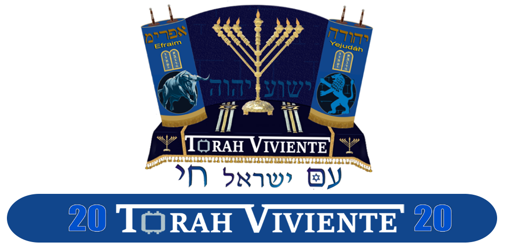 Torah PNG Isolated Transparent
