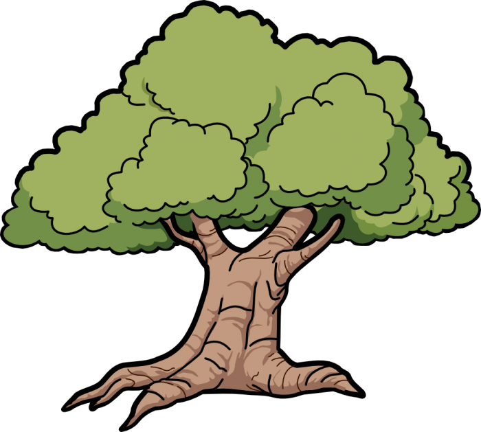 Trunk PNG Image