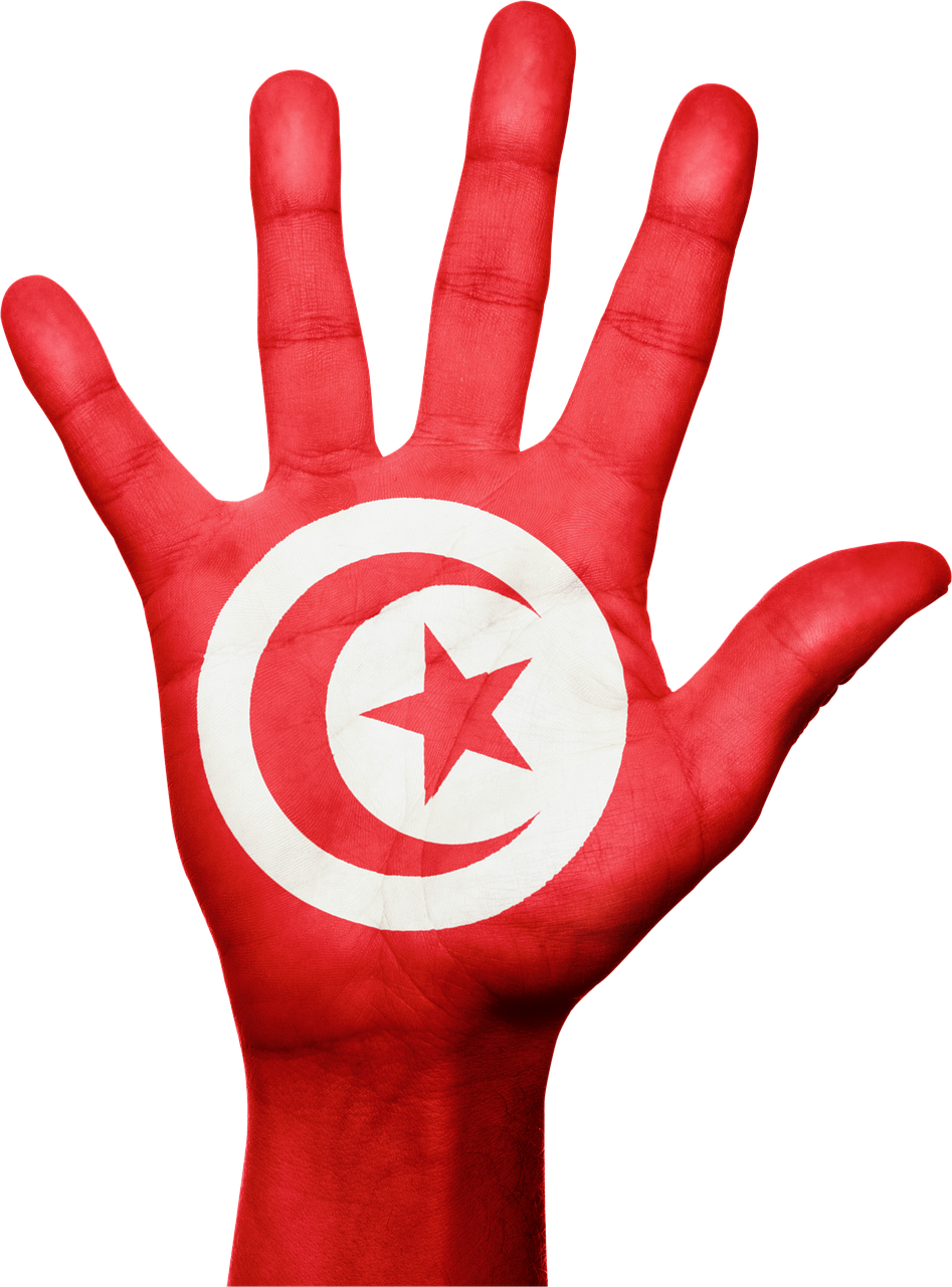 Tunisia Flag PNG File