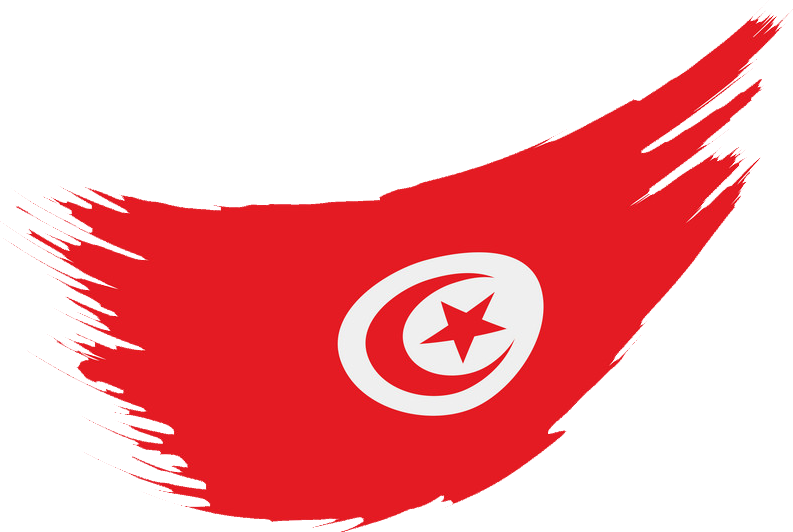 Tunisia Flag PNG Isolated Photo