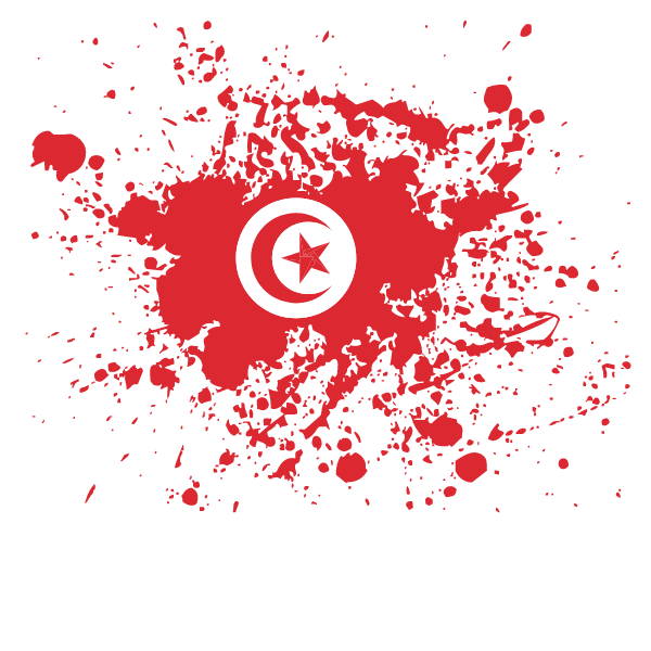 Tunisia Flag PNG Isolated Pic
