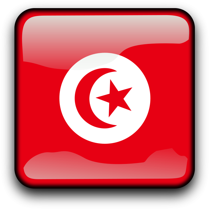 Tunisia Flag PNG Pic