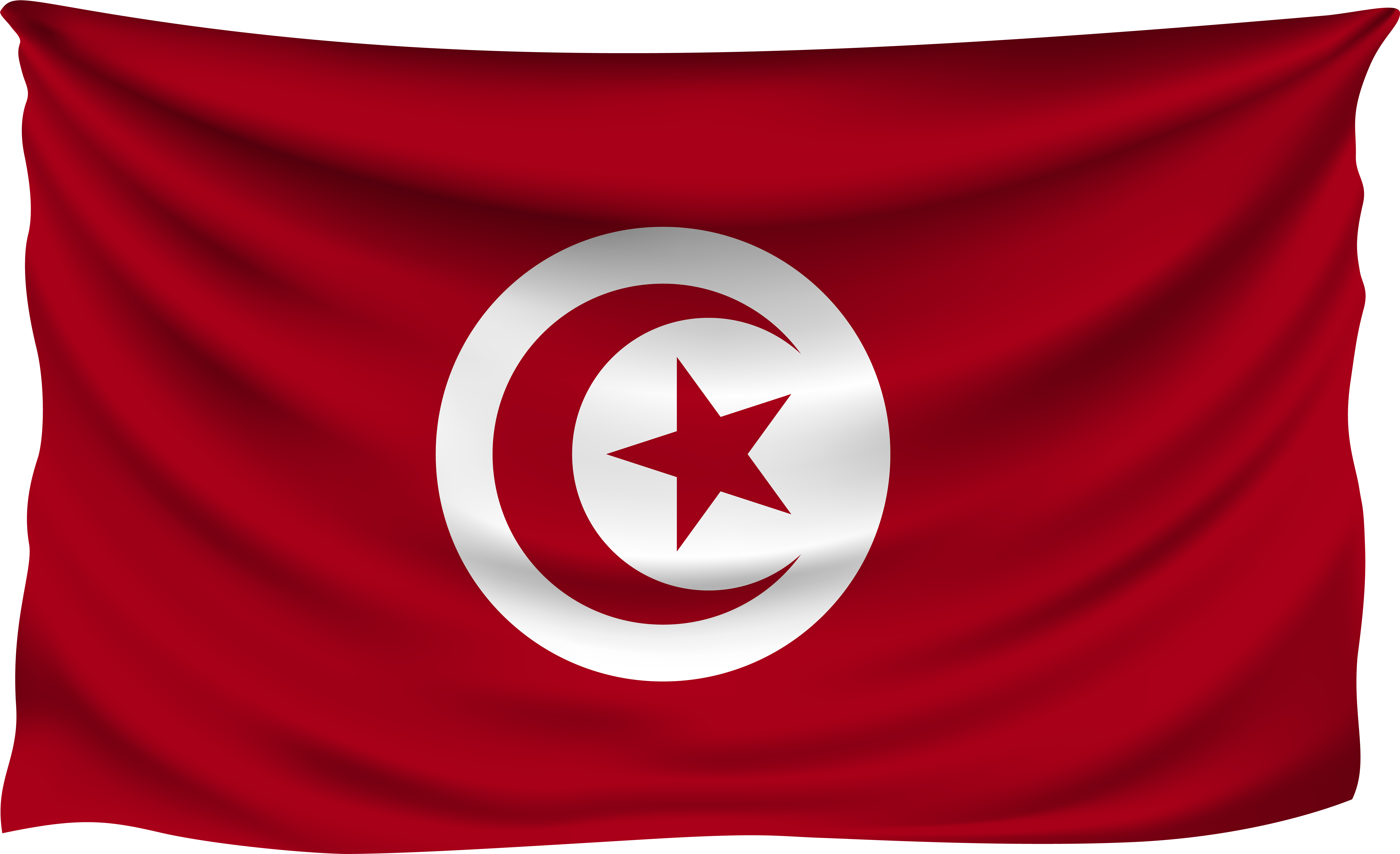 Tunisia Flag PNG Transparent
