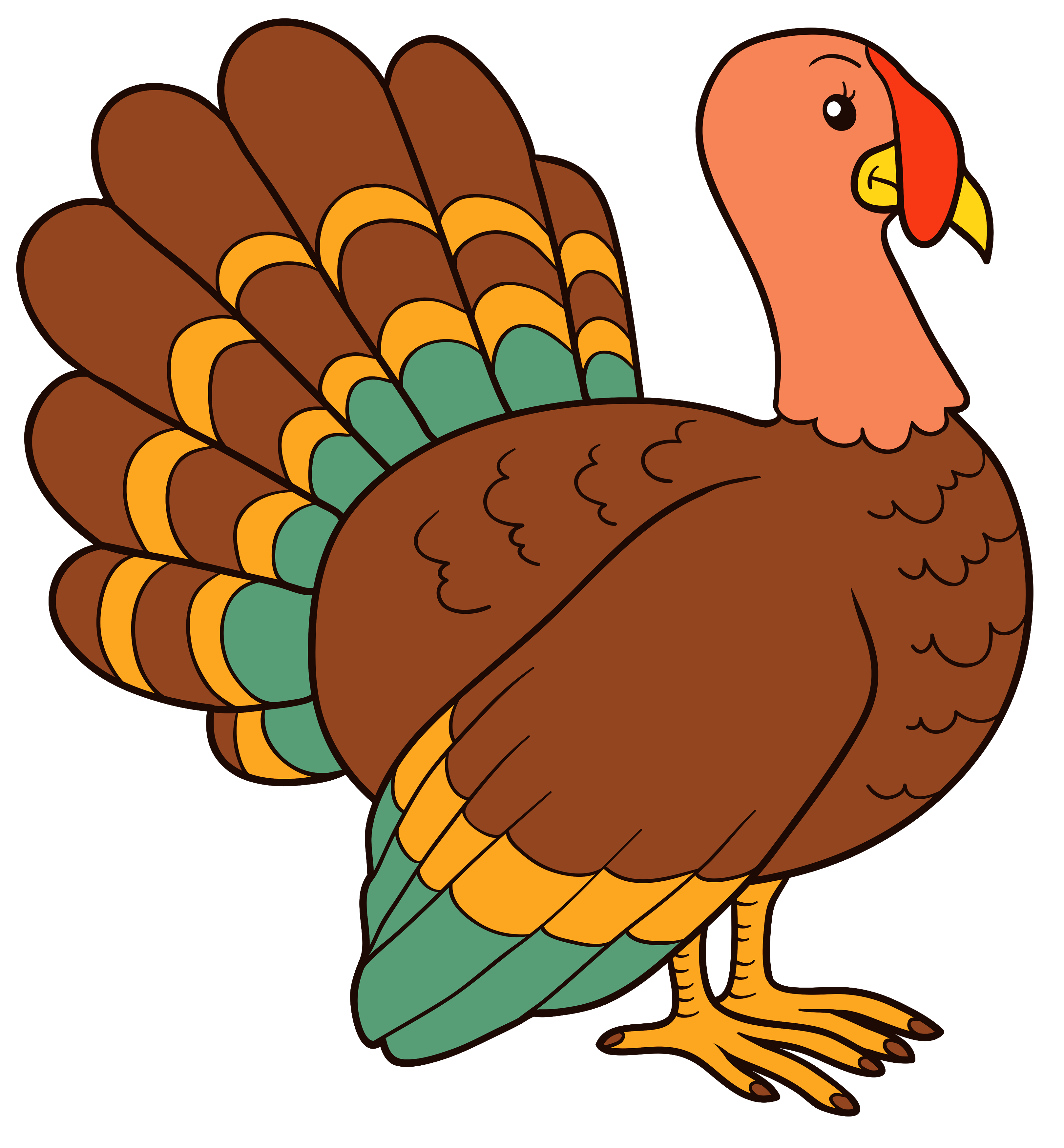Turkeys PNG Clipart