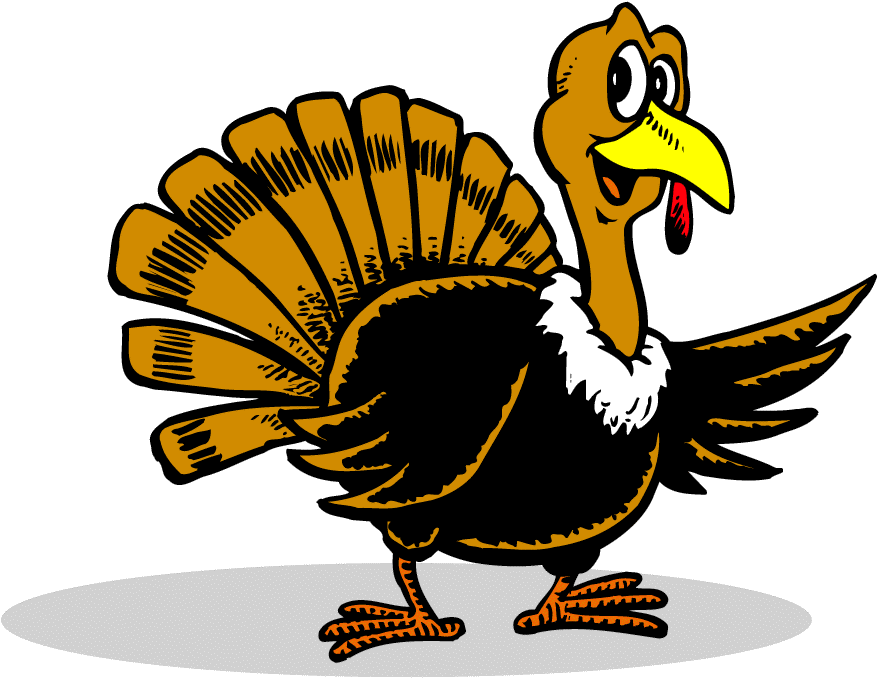 Turkeys PNG Isolated Photo