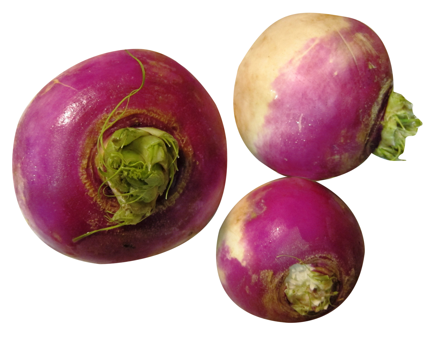 Turnip PNG Isolated Photo