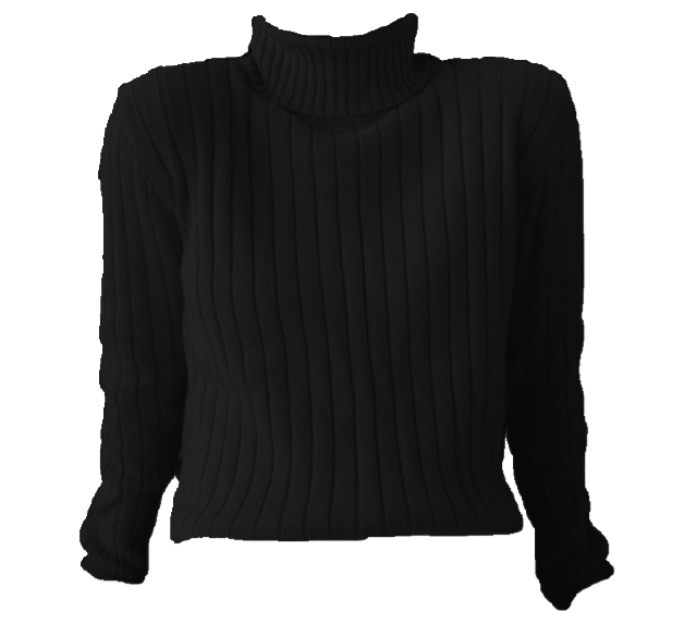 Turtle Neck Shirt PNG Isolated Pic