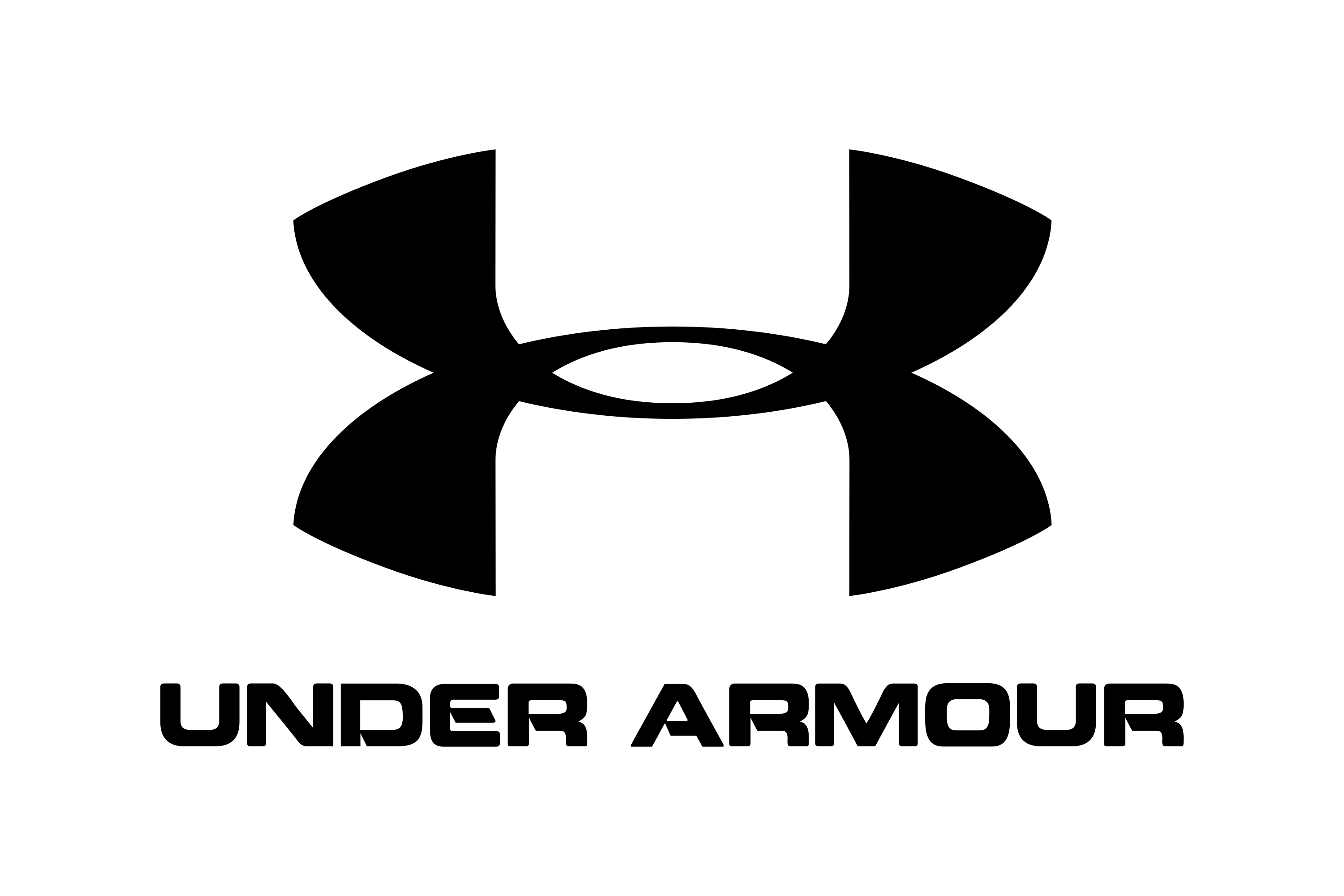 Under Armour Logo PNG Photo