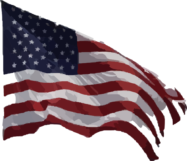 United States Of America Flag PNG Isolated Photo