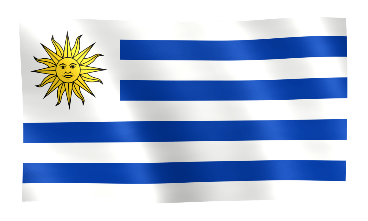 Uruguay Flag PNG Pic
