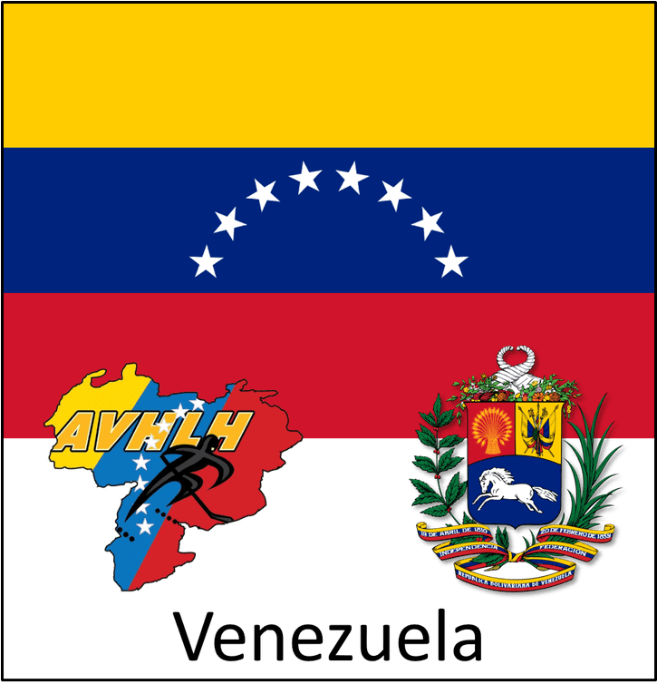 Venezuela Flag PNG Pic