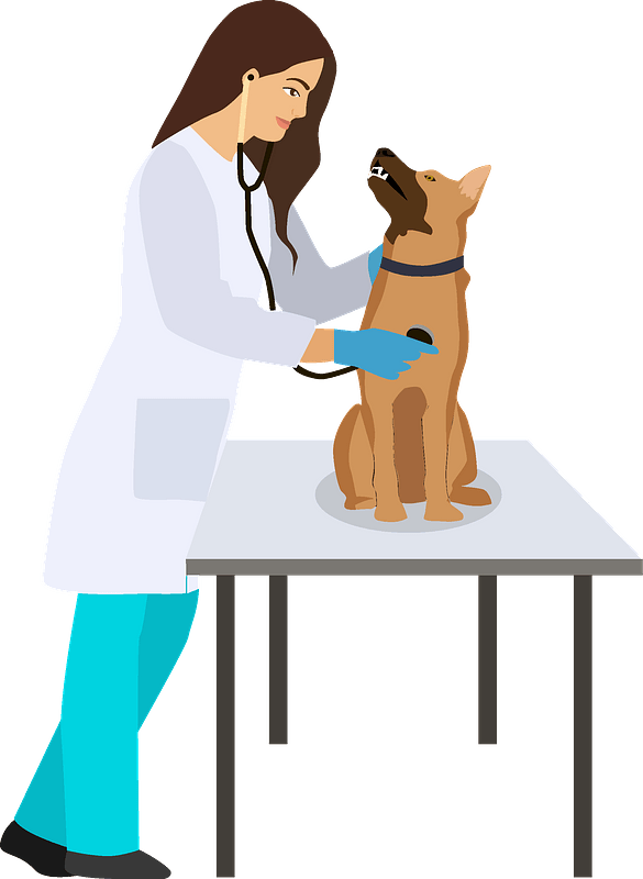 Veterinarian PNG HD Isolated