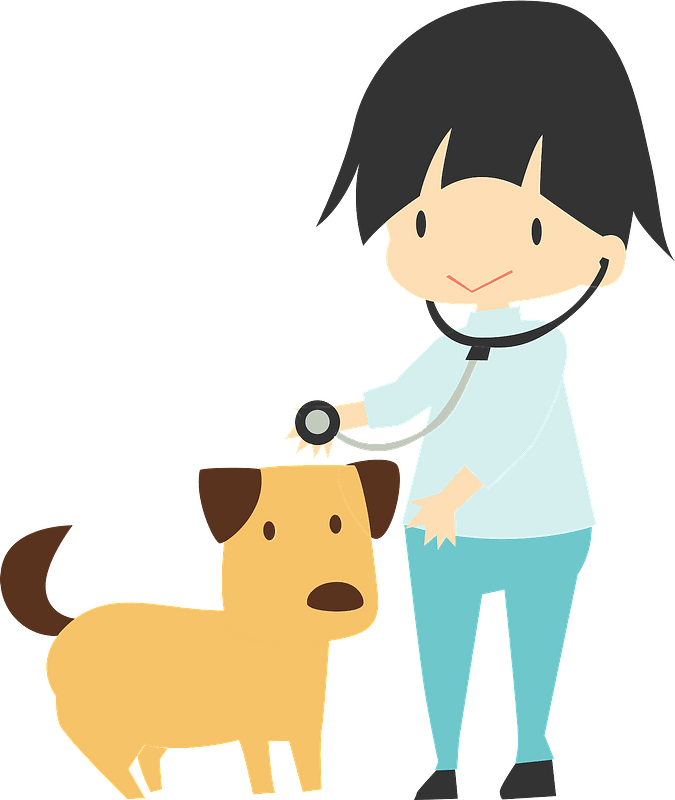 Veterinarian PNG Isolated Pic