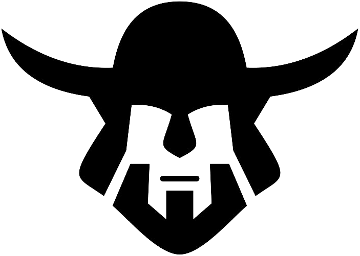 Viking PNG Picture
