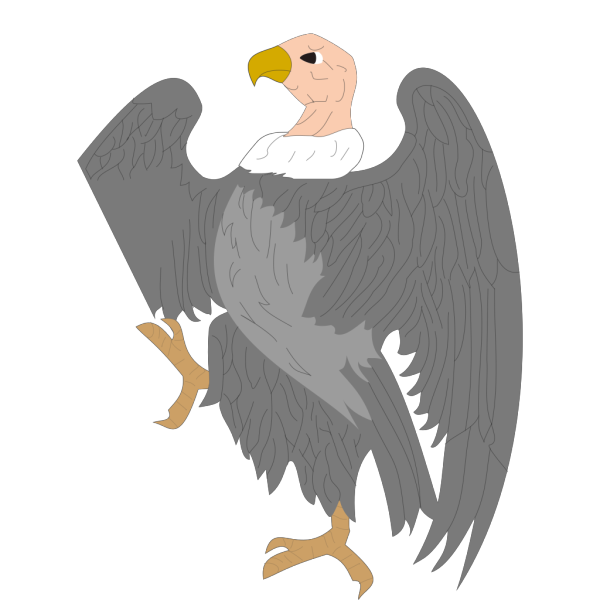 Vulture PNG File