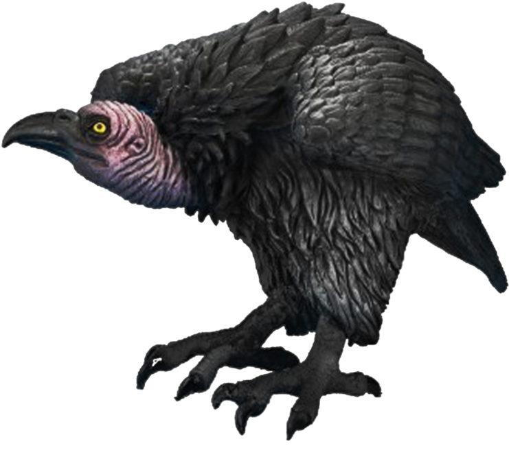 Vulture PNG Free Download