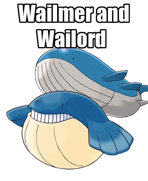 Wailmer Pokemon Transparent PNG