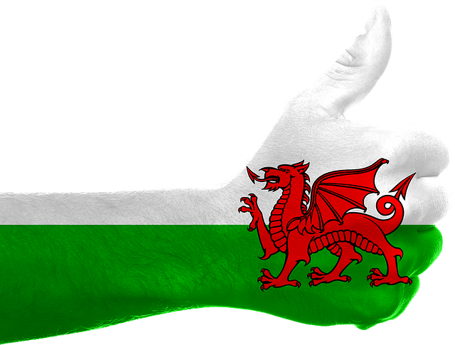 Wales Flag PNG Picture