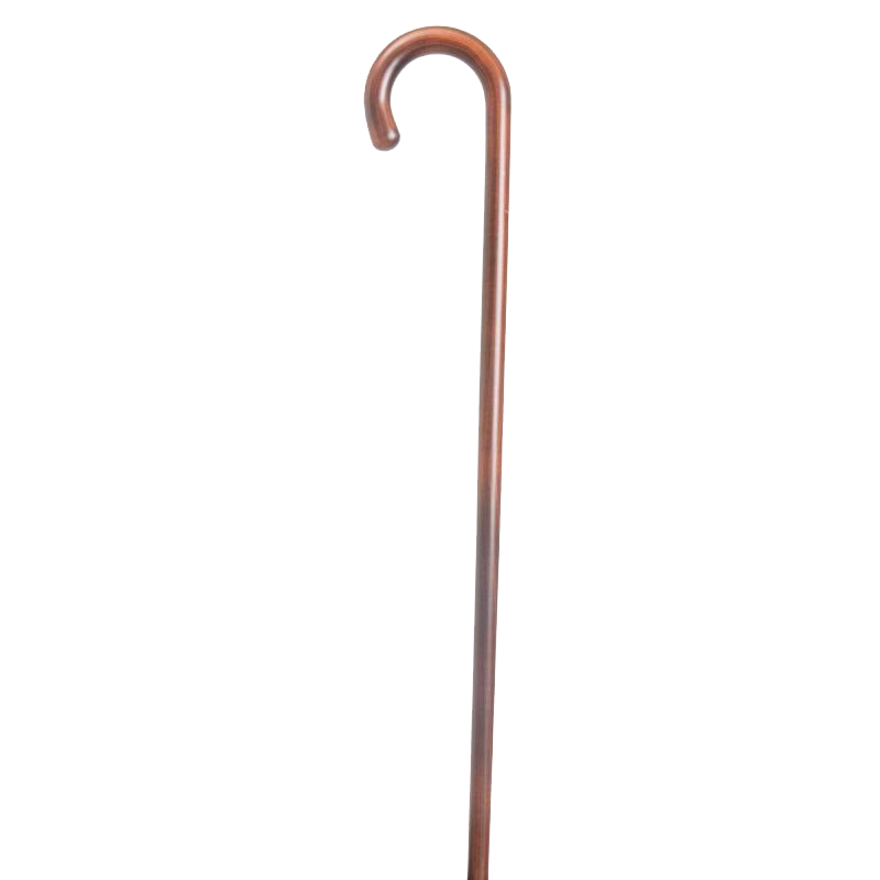 Walking Stick Download PNG Isolated Image