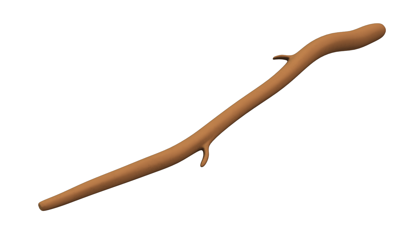 Walking Stick PNG Isolated File