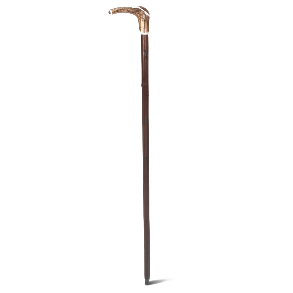 Walking Stick PNG Isolated Pic