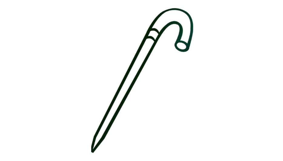 Walking Stick PNG Isolated Transparent Image