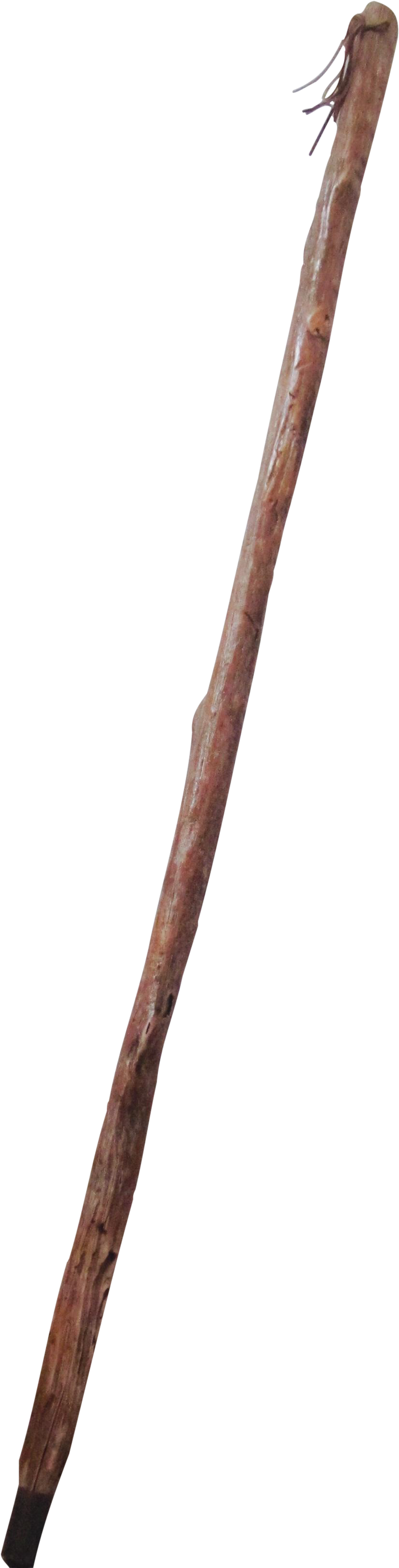 Walking Stick PNG Isolated Transparent Picture