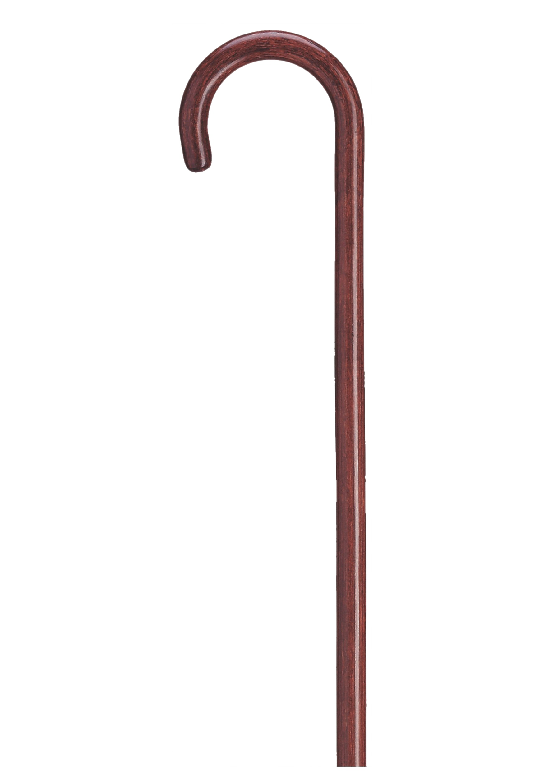Walking Stick PNG Isolated Transparent
