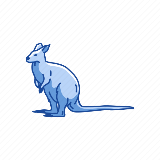 Wallaroos PNG Isolated File