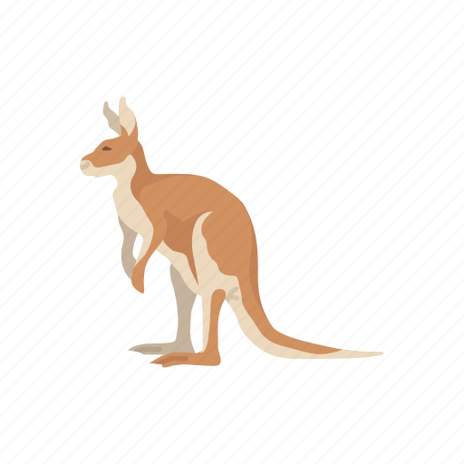 Wallaroos PNG Picture