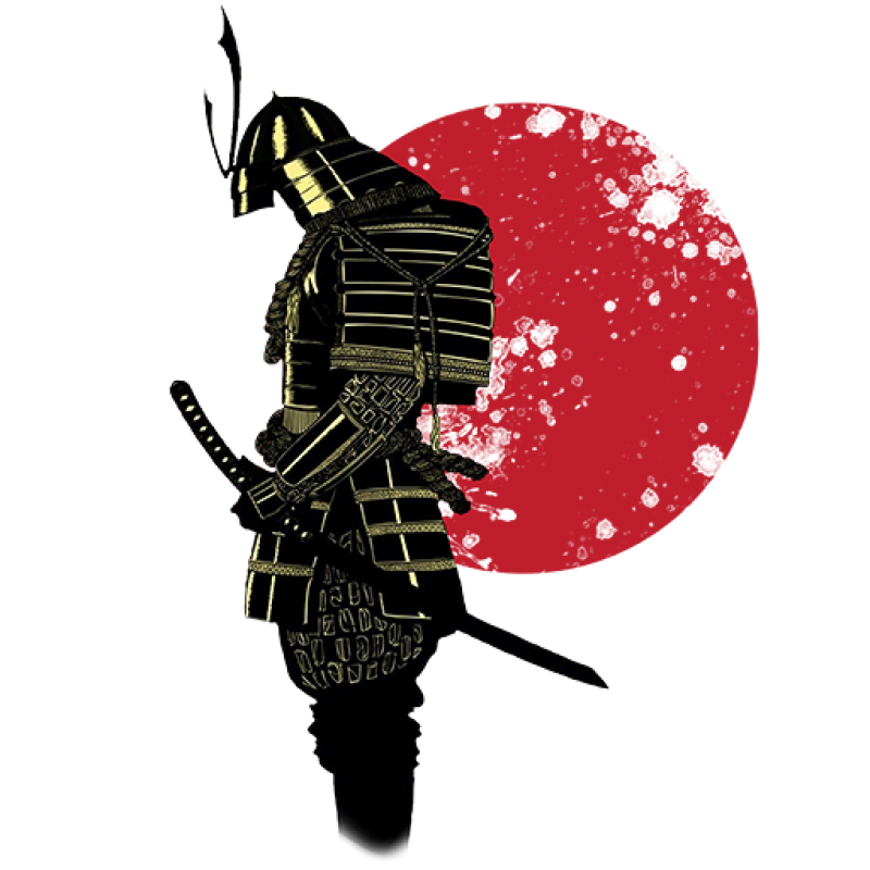Warrior PNG Isolated Pic